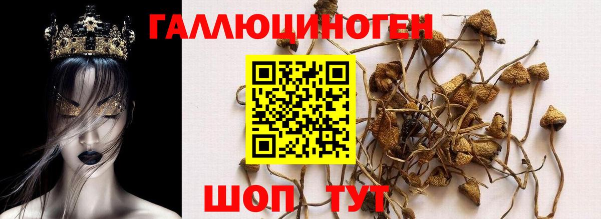Псилоцибиновые грибы мухоморы  Вход с VPN  Ноябрьск  Галлюциногенные грибы мухоморы 